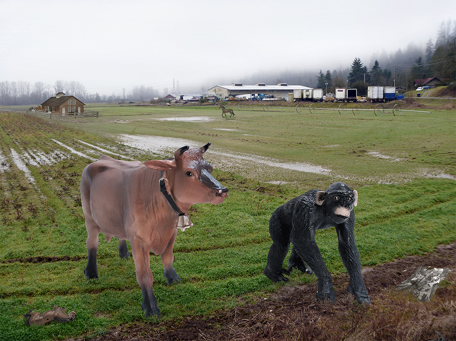 Cow & Monkey at the Farm